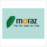 עיצוב תערוכה