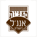 עיצוב תערוכות