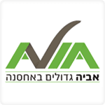 עיצוב תערוכות