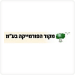 עיצוב תערוכות