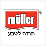 עיצוב תערוכה