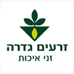 עיצוב תערוכה