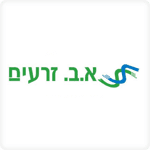 עיצוב תערוכה